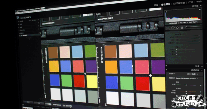 愛色麗色卡護照卡