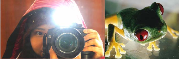 日本相機閃存技術消除閃光陰影和紅眼